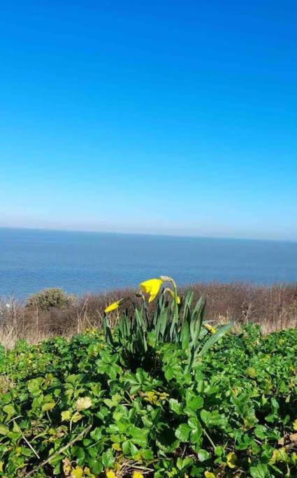 Herne Bay Central - 2 Minutes From Beach Apartment Exterior foto
